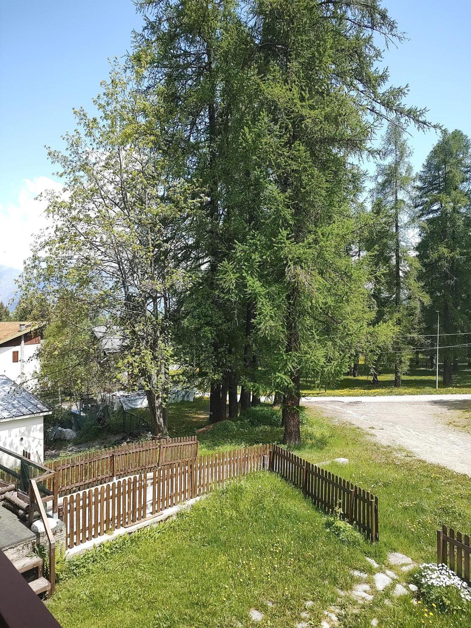Apartamento Montagna Che Passione Chiomonte Exterior foto